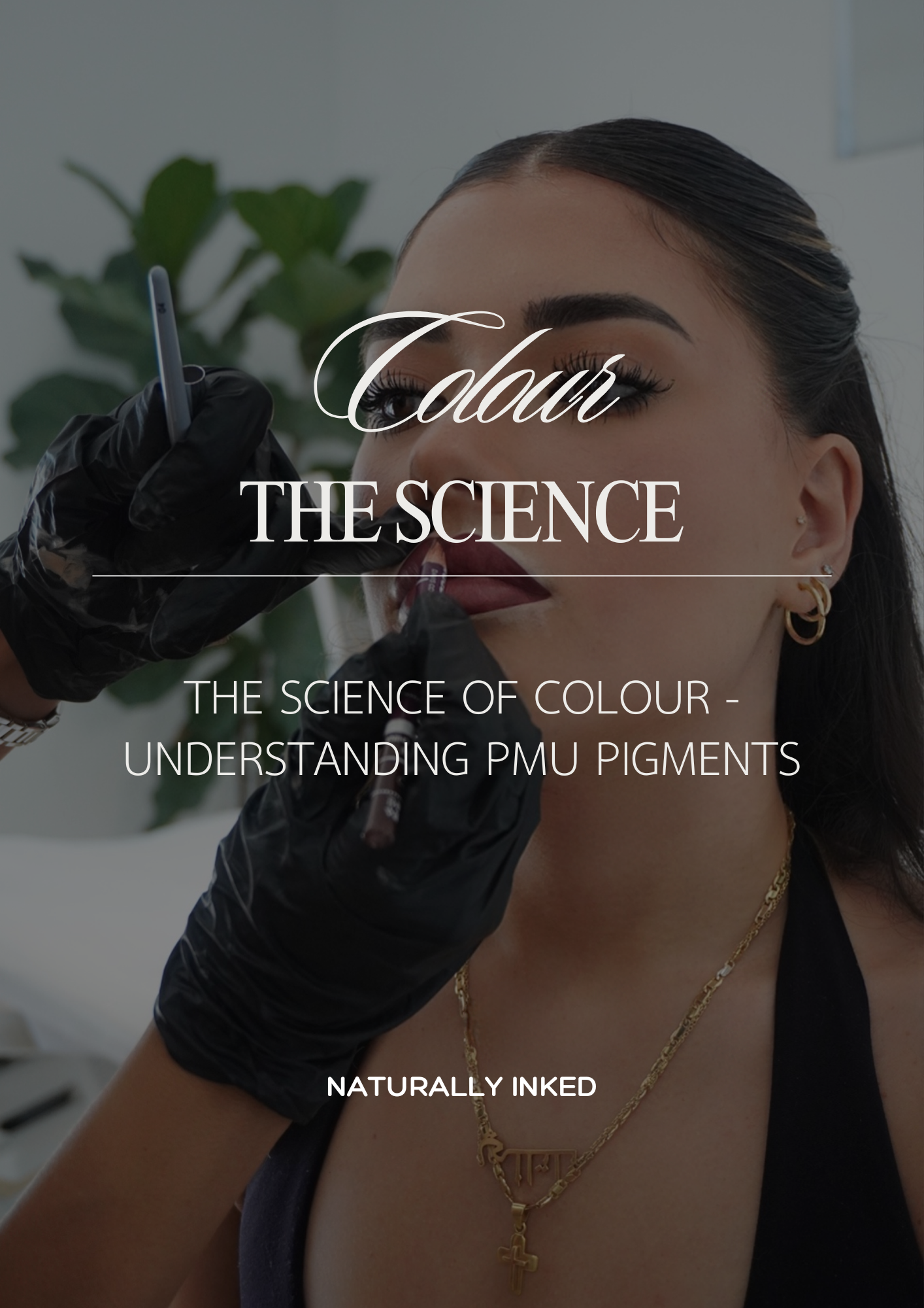 The Science of Colour: Understanding PMU Pigments – eBook
